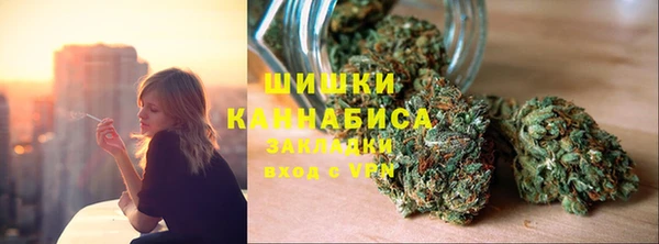 хмурый Гусев