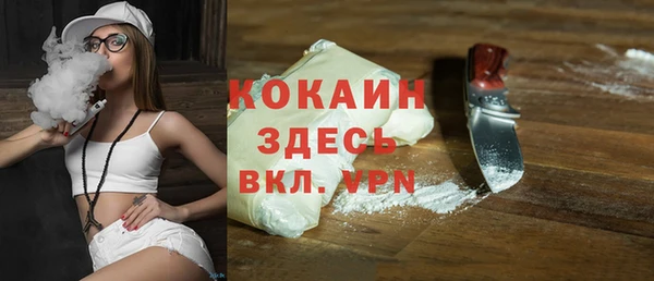 хмурый Гусев