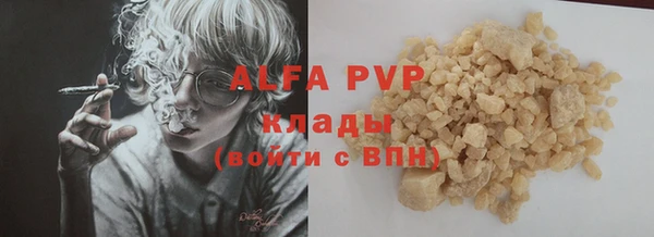 хмурый Гусев