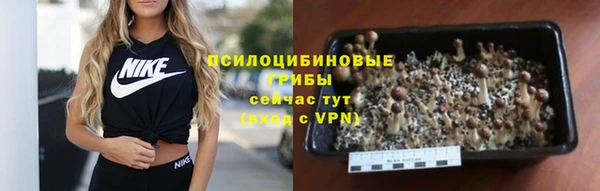 соль курить ск Гусь-Хрустальный