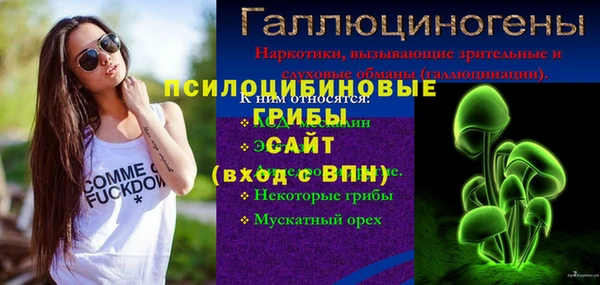 стафф Гусиноозёрск
