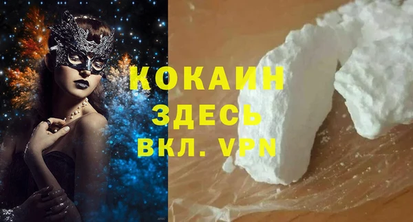 хмурый Гусев