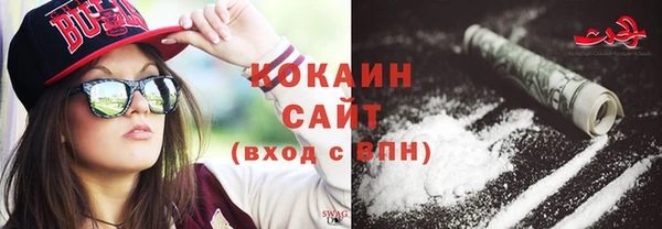 хмурый Гусев