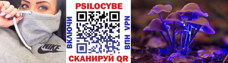Галлюциногенные грибы GOLDEN TEACHER  что такое наркотик  даркнет официальный сайт  Гаврилов Посад 