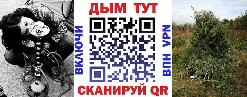 OMG tor Гаврилов Посад Бошки марихуана планчик что такое наркотик